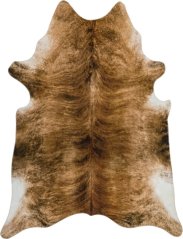 Kusový koberec Texas Hnedý