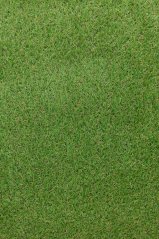 Umelá tráva Condor Aimsley 45