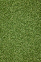 Umelá tráva Classis Kiano 5013