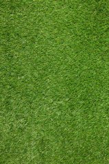 Umelá tráva Classis Padua 000