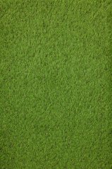 Umelá tráva Orotex Elite 6051