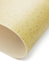 Vinylová podlaha Lentex Voyager Nxt Basin.M55 55220