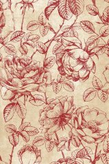 Kusový koberec Agnella Isfahan Rhode Bordový