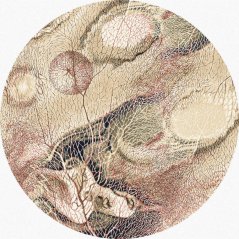 Kusový koberec Agnella Isfahan Bellona Tmavobéžový (kruhový)