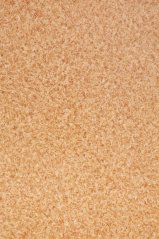 Vinylová podlaha Lentex Orion 46612 Borelli 062