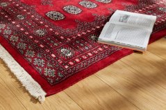 Kusový koberec Bokhara 115 Červený