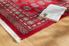 Kusový koberec Bokhara 103 Červený