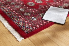 Kusový koberec Bokhara 124 Červený